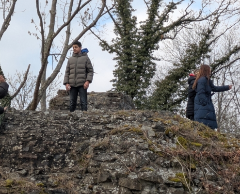 PXL_20260218_132309432.MP